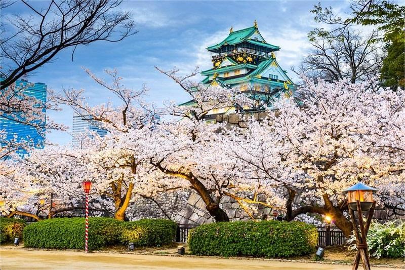 1 Days Japan Cultrue History Tours Osaka
